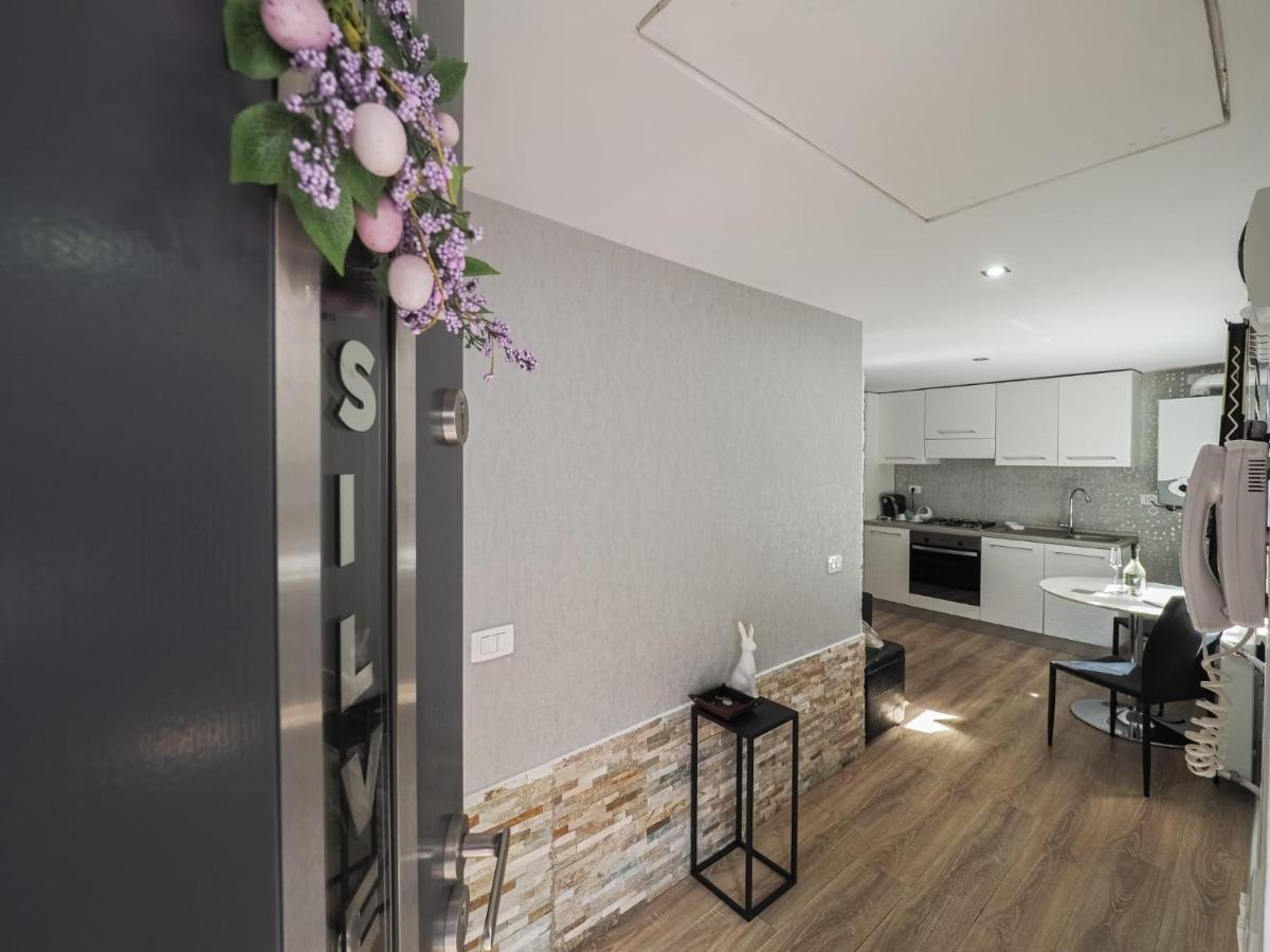 For You Apartments Gold & Silver سيبيو المظهر الخارجي الصورة