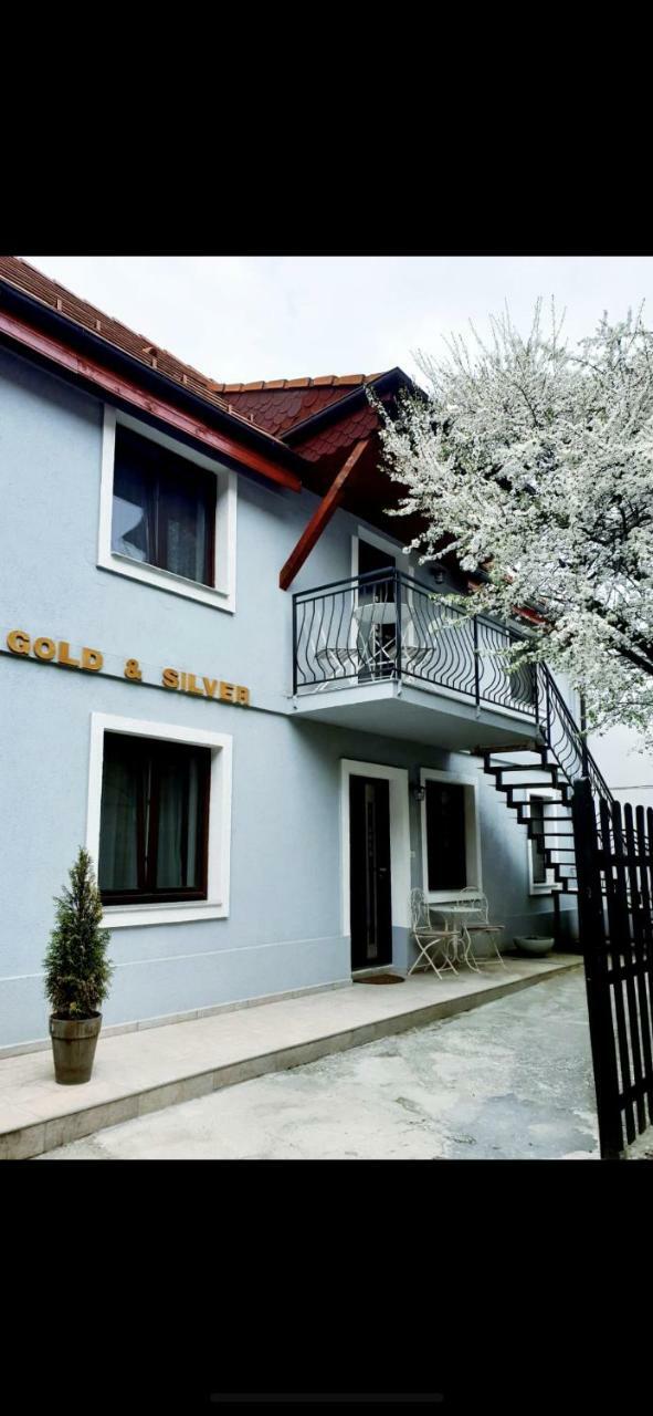 For You Apartments Gold & Silver سيبيو المظهر الخارجي الصورة